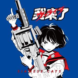 シャムキャッツ、5thアルバム『Virgin Graffiti』11月21日発売決定