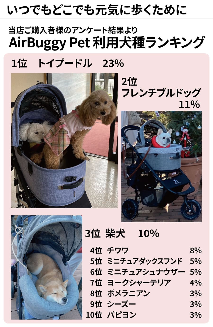 エアバギーペットが選ばれる理由！こんなペットカートが欲しかった