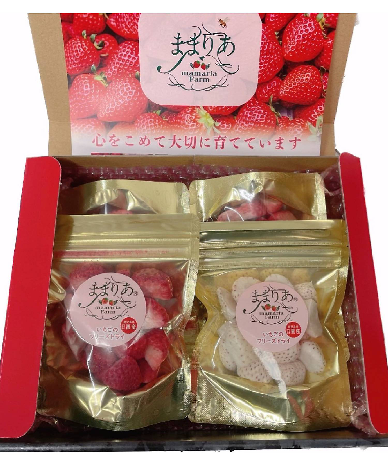 ☆【産直】紅白いちごのフリーズドライ（4袋） 1セット | 鹿児島/ま