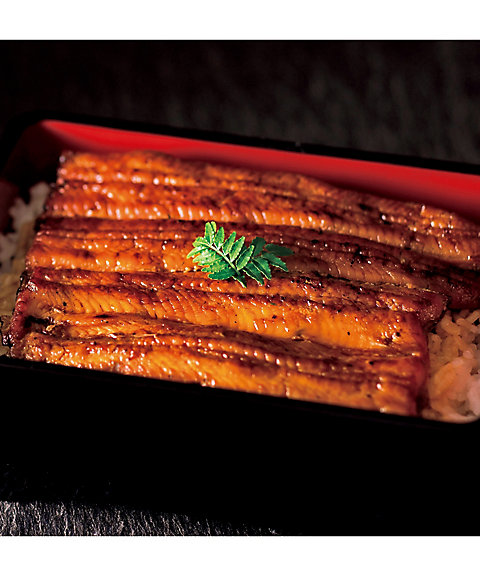 セレクトギフト〉ラピスラズリコース（冊子タイプ）【535793