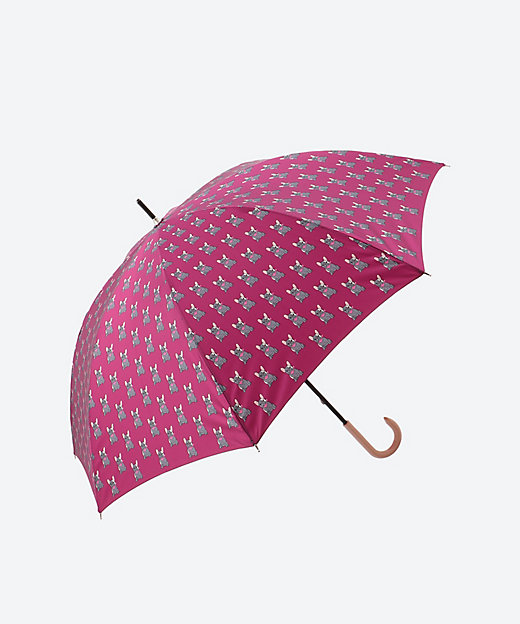 Dieffe Kinloch×HANWAY＞雨長傘 フレンチ