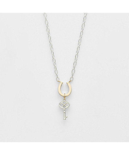 2026 Limited Edition》シルバー／K10ネックレス