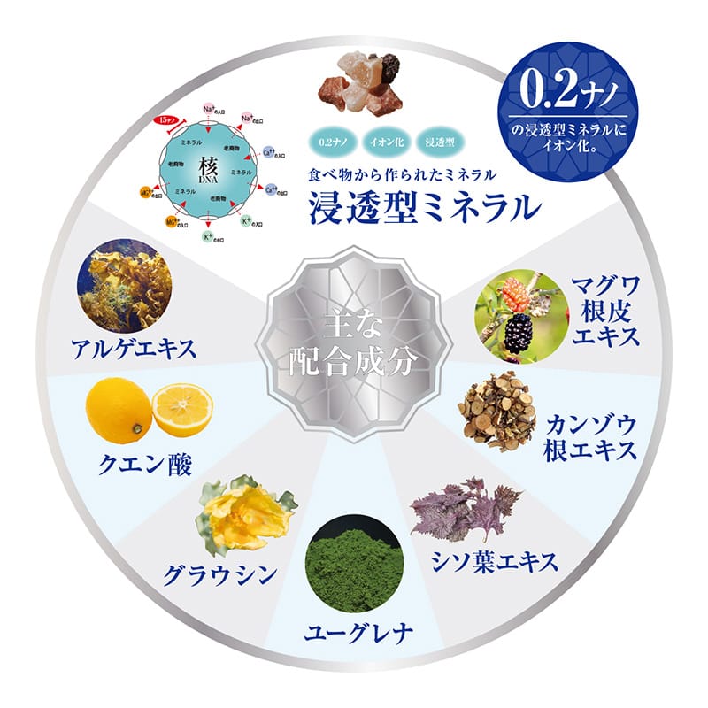 イトーノンFコンディショニングクリーム 250g | イトーオンラインショップ