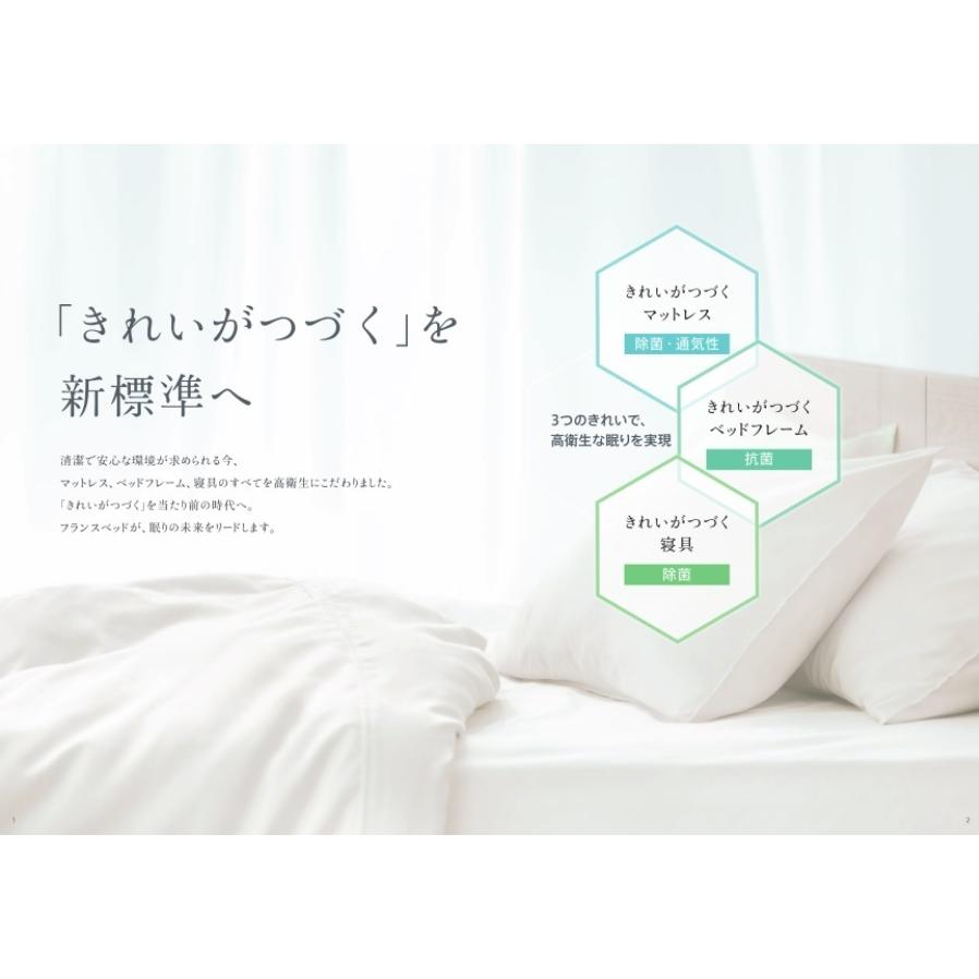フランスベッド（FRANCEBED） 開梱設置付き LT-5500 α PW シングル