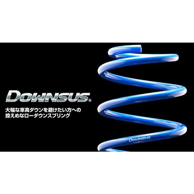 ESPELIR（エスペリア） 1台分 DOWNSUS トヨタ プロボックス NHP160V R4
