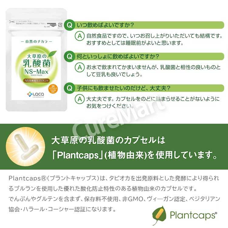 大草原の乳酸菌 NS-Max 36粒◇6袋セット [＋32粒増量] 日本製 ラクア