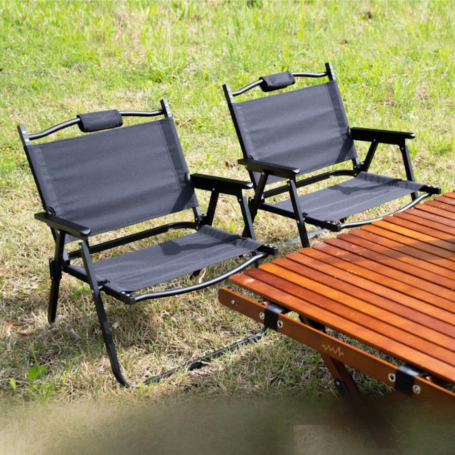 アルペンアウトドアーズ 撥水ローチェア 2脚セット キャンプ チェア