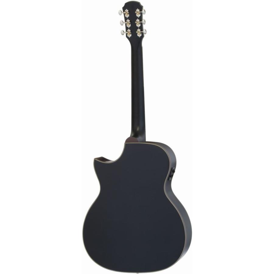 ARIA Aria-101CE/MTBK (Black) マット塗装 エレアコ / ソフトケース付