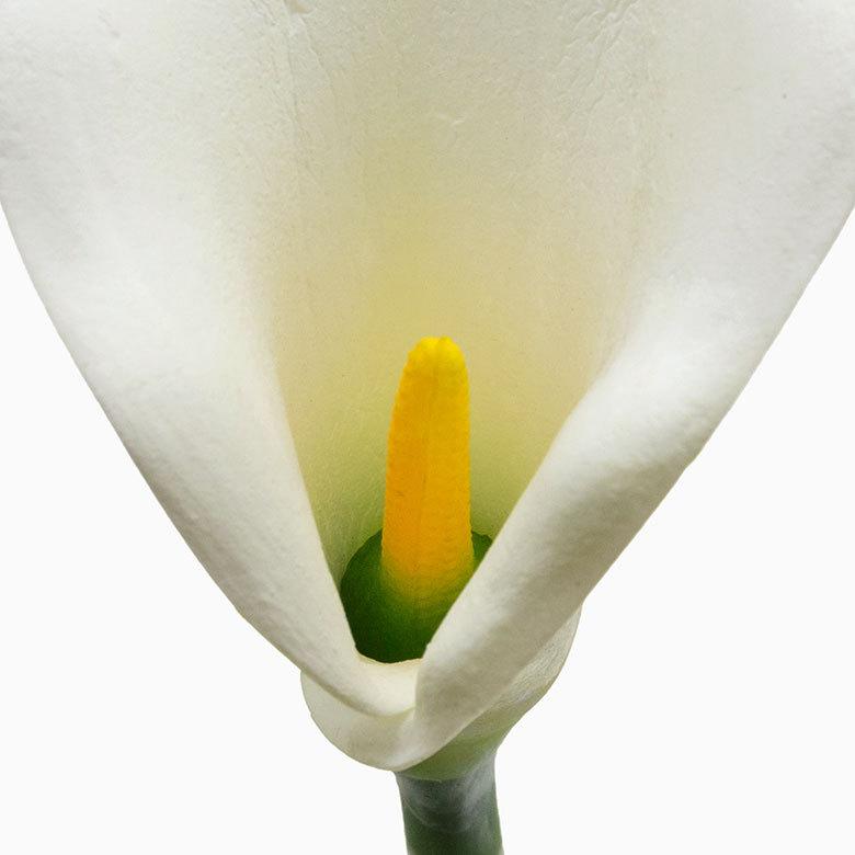 アジアン 造花 カラーリリー ロング 3色展開 05P03Dec16 6165 : アジア