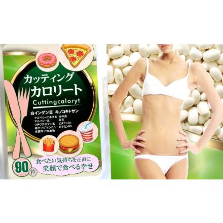 ダイエット サプリ 【送料無料（メール便限定）】カッティングカロリー
