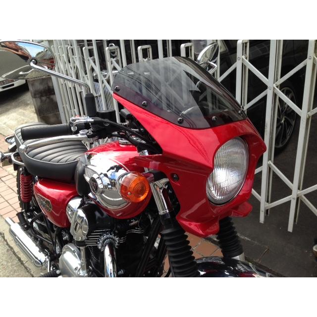 ワールドウォーク（WORLD WARK） W800対応 汎用ビキニカウル DS-01