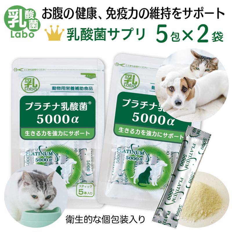 犬 猫 乳酸菌 ペットサプリ 動物用サプリメント 免疫力 国産 便秘 整腸