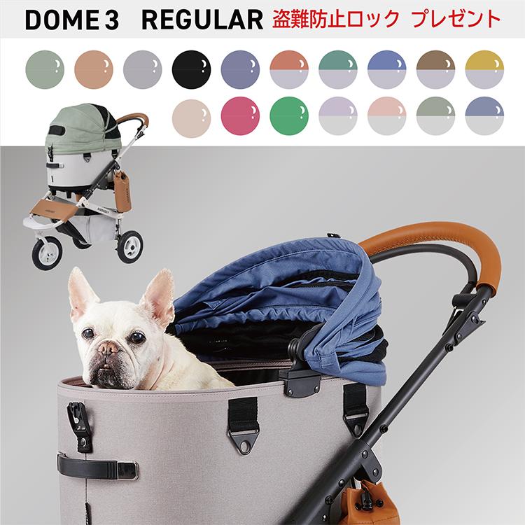 DOME エアバギー ドーム3 レギュラー セット品 DOME3 REGULAR 特典あり
