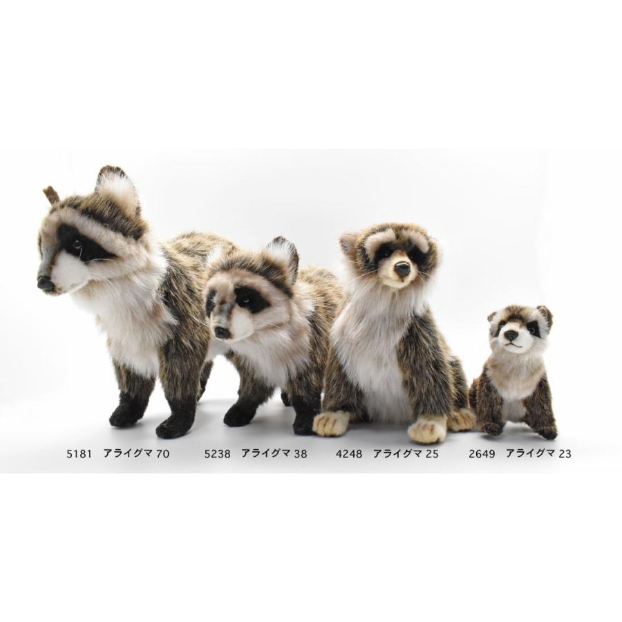 HANSA BH5181 アライグマ あらいぐま くま ぬいぐるみ リアル : Dear