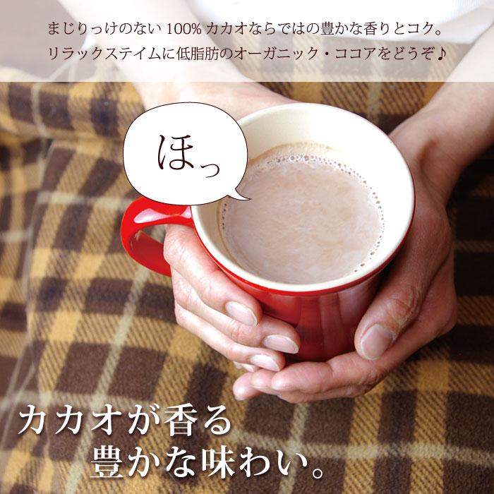 第3世界ショップ ココアパウダー 無糖（ 第3世界ショップ ココア 110g