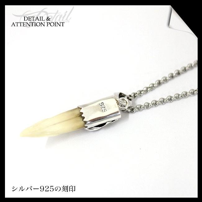ネックレス シルバー925 メンズ レディース ワニの牙 ターコイズ