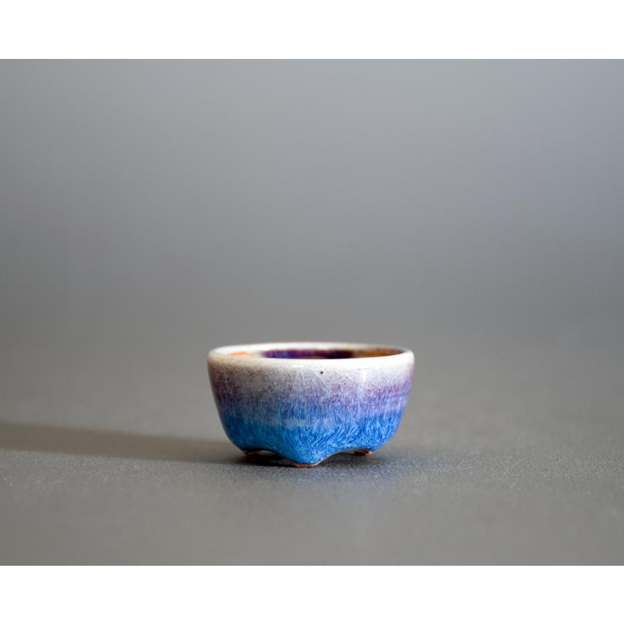 豆盆栽鉢 青流紋釉丸盆栽鉢 小さな盆栽鉢 小鉢 國井正子鉢 p0833 : e