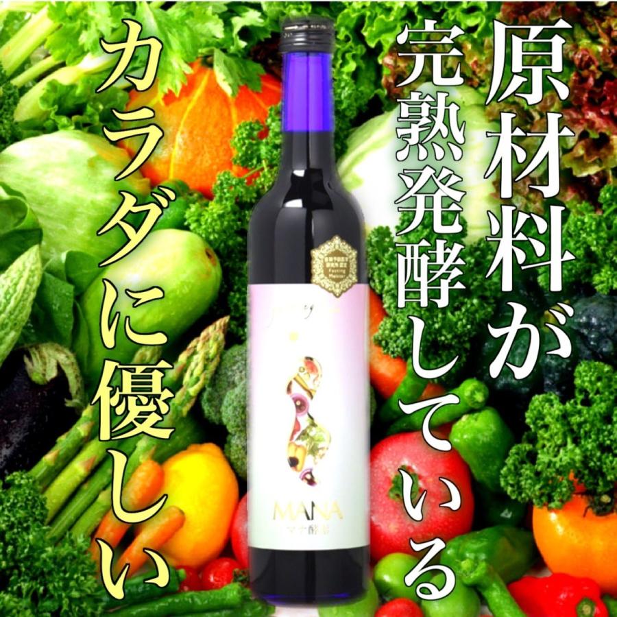 マナ酵素 酵素ドリンク 500ml × 2本 3日 ファスティング ダイエット