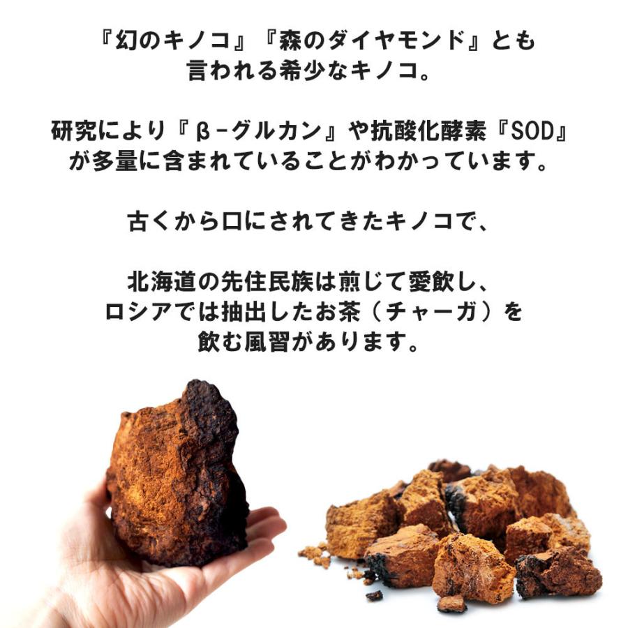 カバノアナタケ 塊 100g 北海道産 国産 送料無料 β-グルカン 抗酸化