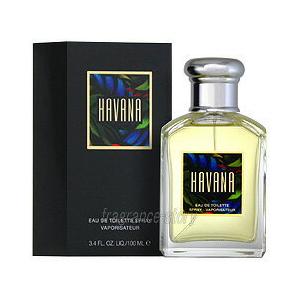 ARAMIS（アラミス） 並行輸入品 ハバナ 100ml EDT SP fs 【香水 メンズ