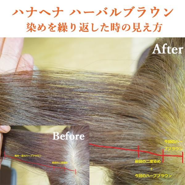 ヘナ ハナヘナ hana henna ハーバルブラウン 100g 白髪染め ブラウン