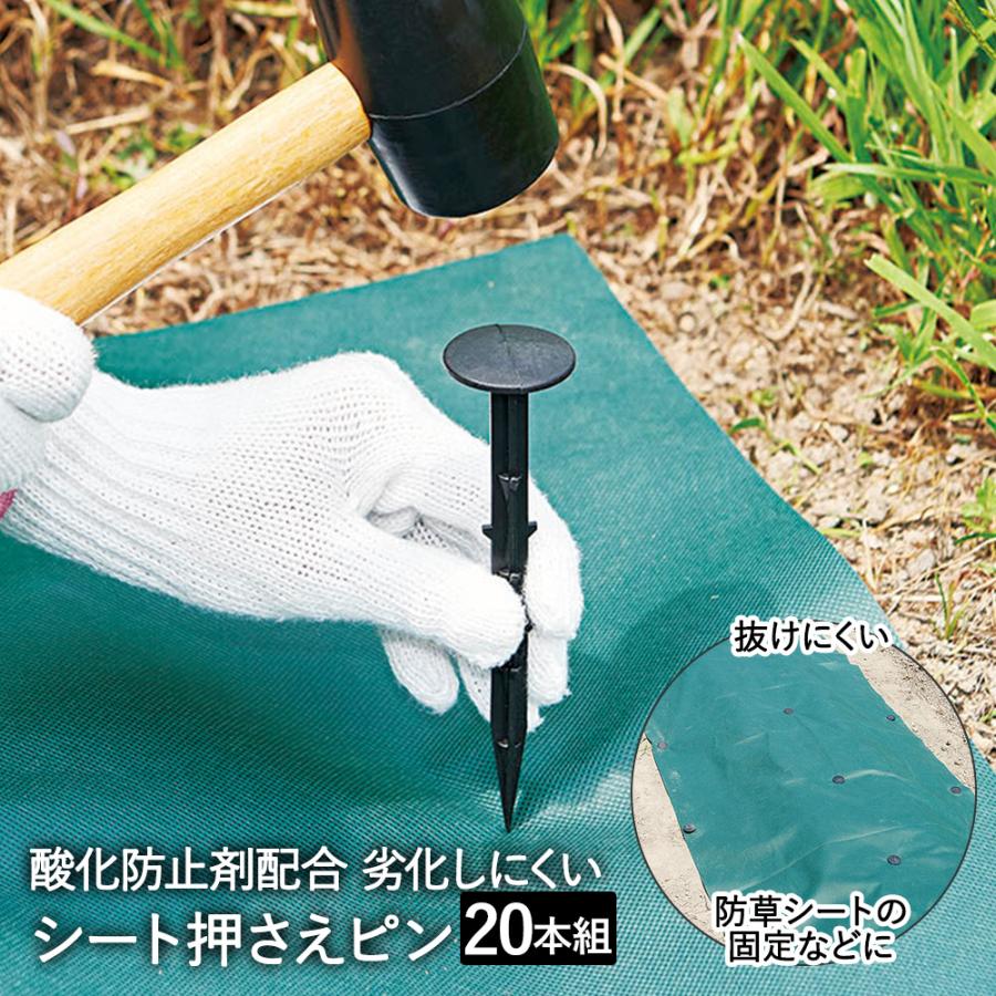 防草シート プラピン 498本 防草シート プラピン 498本 【公式通販】