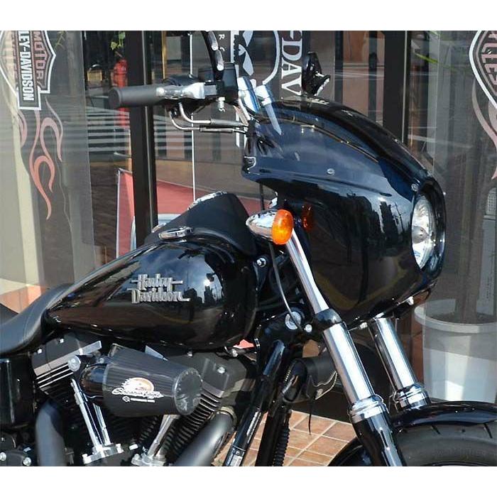 アレンネス 06-033 DIRECT BOLT-ON・フェアリング グロスブラック 2006