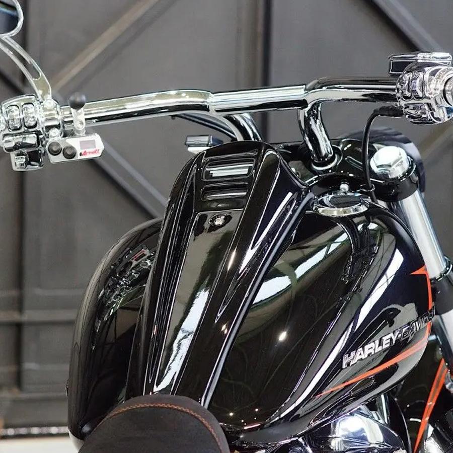 ローライダーST、ブレイクアウト メーターダッシュパネル ノイズ : HD