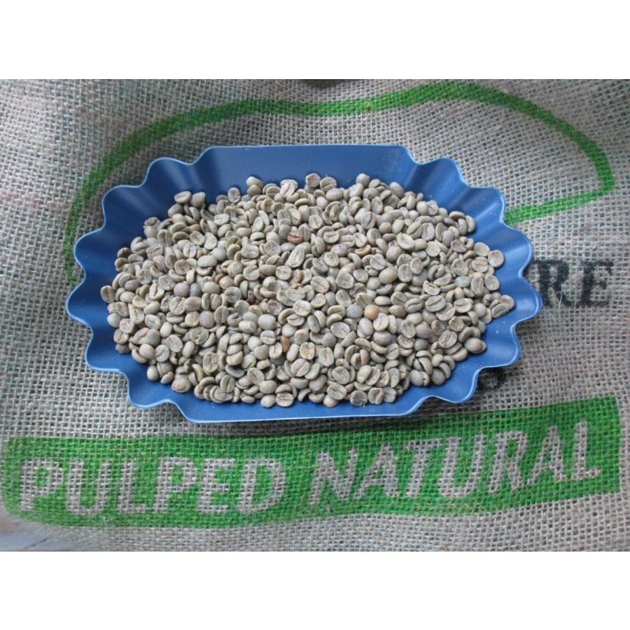 スペシャルグレード コーヒー生豆 よりどり10kg（2kgx5袋