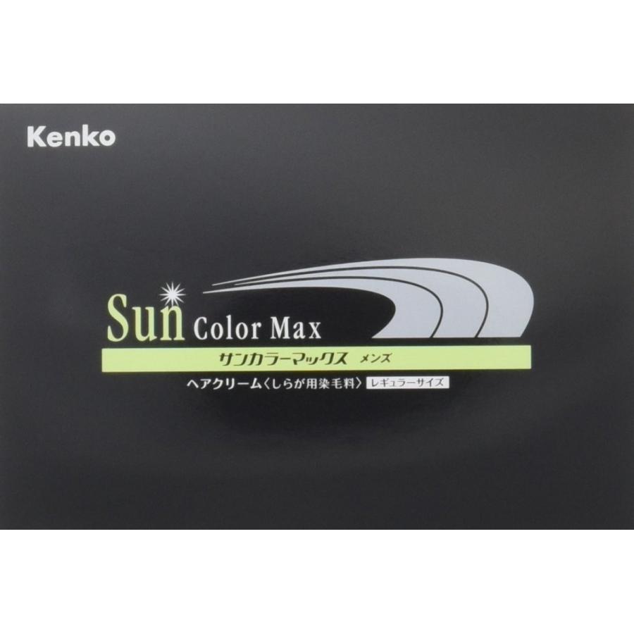 白髪染め サンカラーマックス ブラック 75g クリーム 主に男性用 髪や