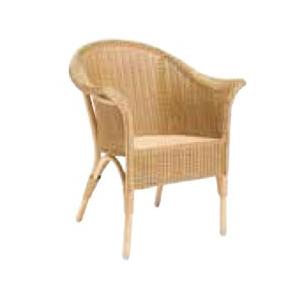 ロイドルーム アームチェア NO.64 椅子 いす 肘付 完成品 イギリス