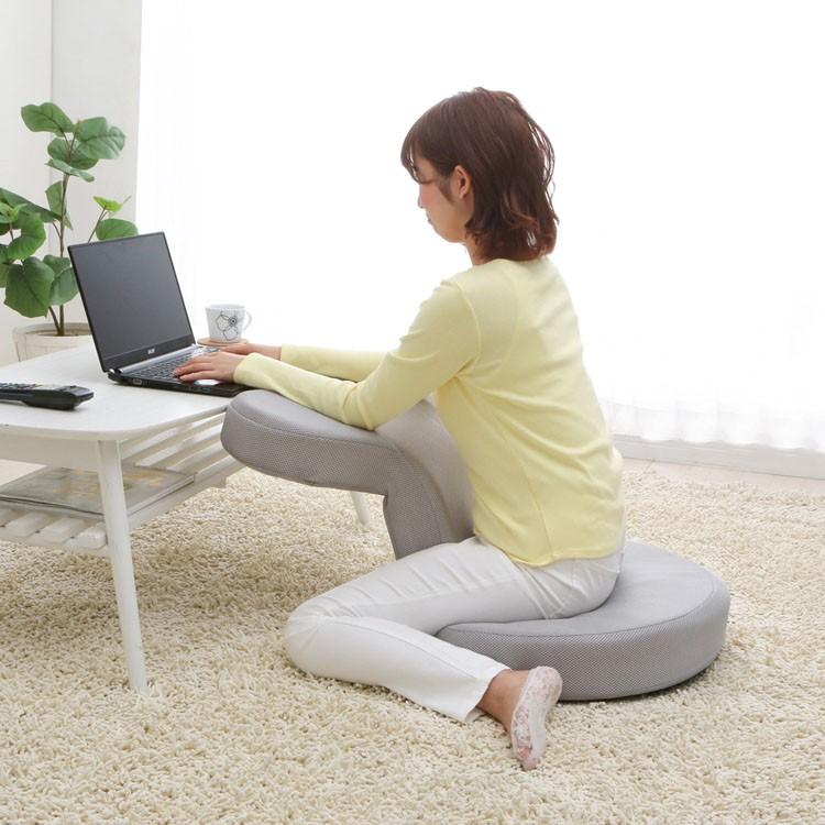 IRIS OHYAMA（アイリスオーヤマ） 座椅子 おしゃれ コンパクト フロア