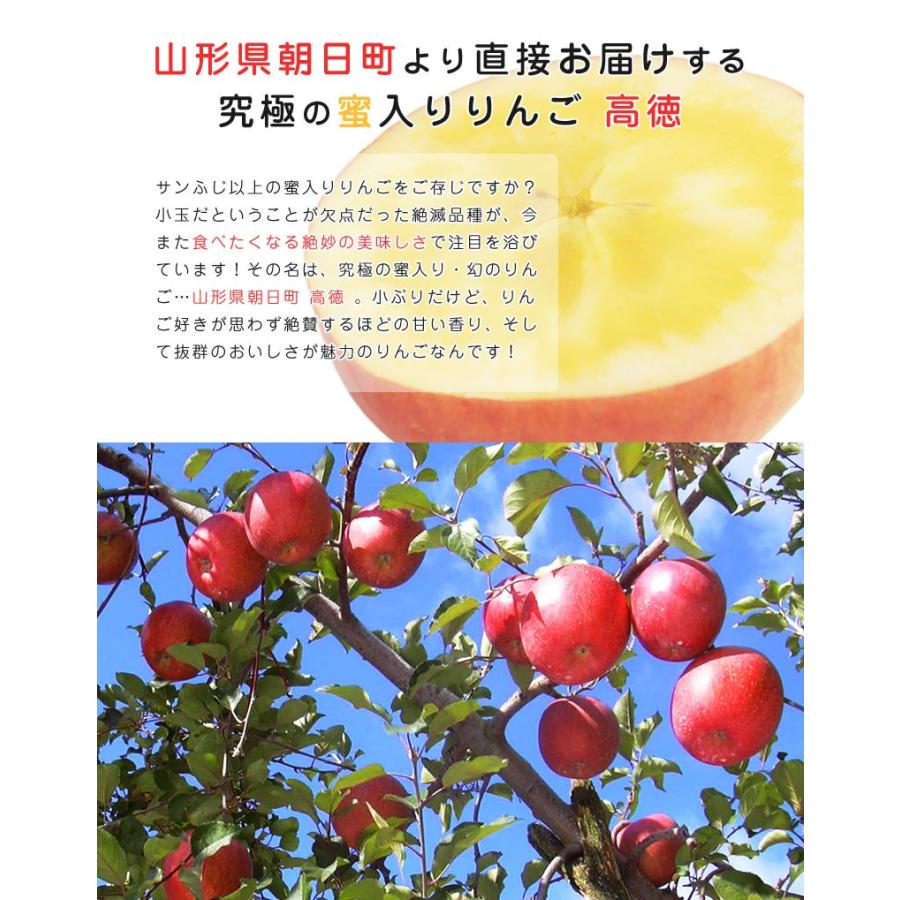 りんご 高徳りんご 山形 朝日町 4‐6玉入 約1.0kg 蜜入りりんご こう