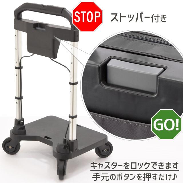 Ace（エース） ソエルテ ソフト キャリーバッグ お買い物キャリー