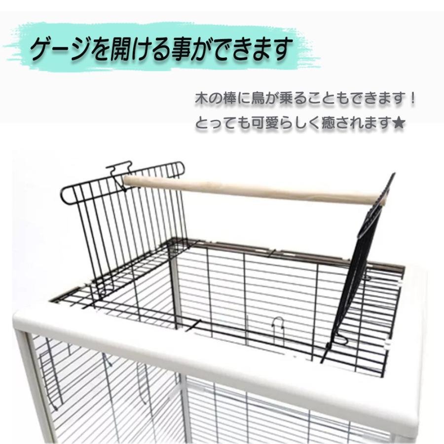 鳥かご 大型 アクリル製 バードケージ 透明なケージ インコ 鑑賞鳥かご