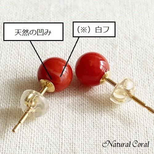 血赤珊瑚 ちあかさんご サンゴ 玉 ピアス ナチュラルコーラル 送料無料