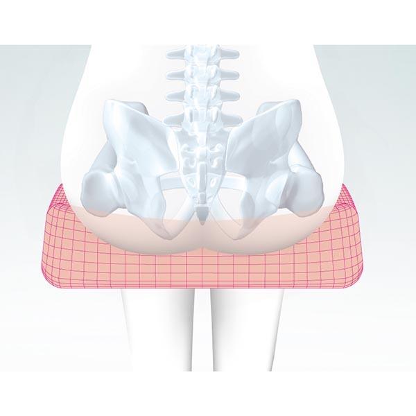 p!nto（ピント） ピーエーエス スクエア 1個 : 産経ネットショップ