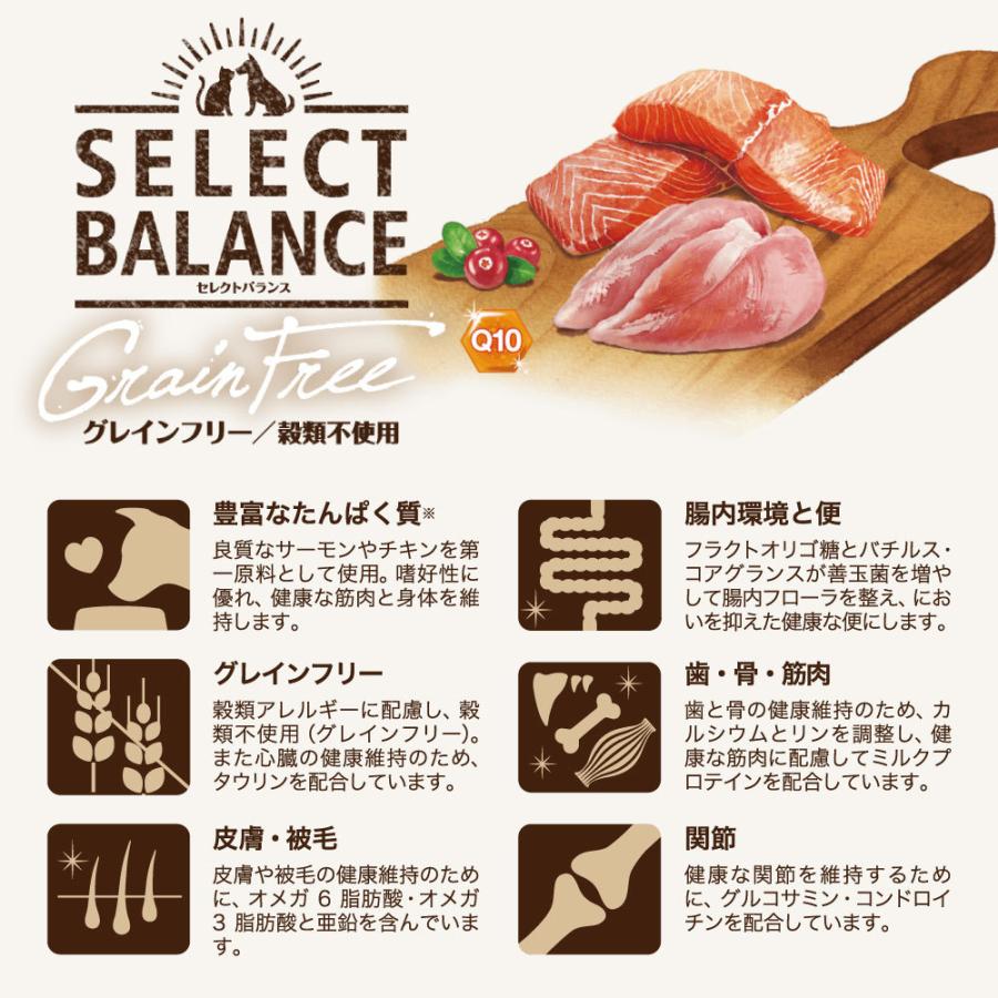 SELECT BALANCE セレクトバランス グレインフリー アダルト サーモン