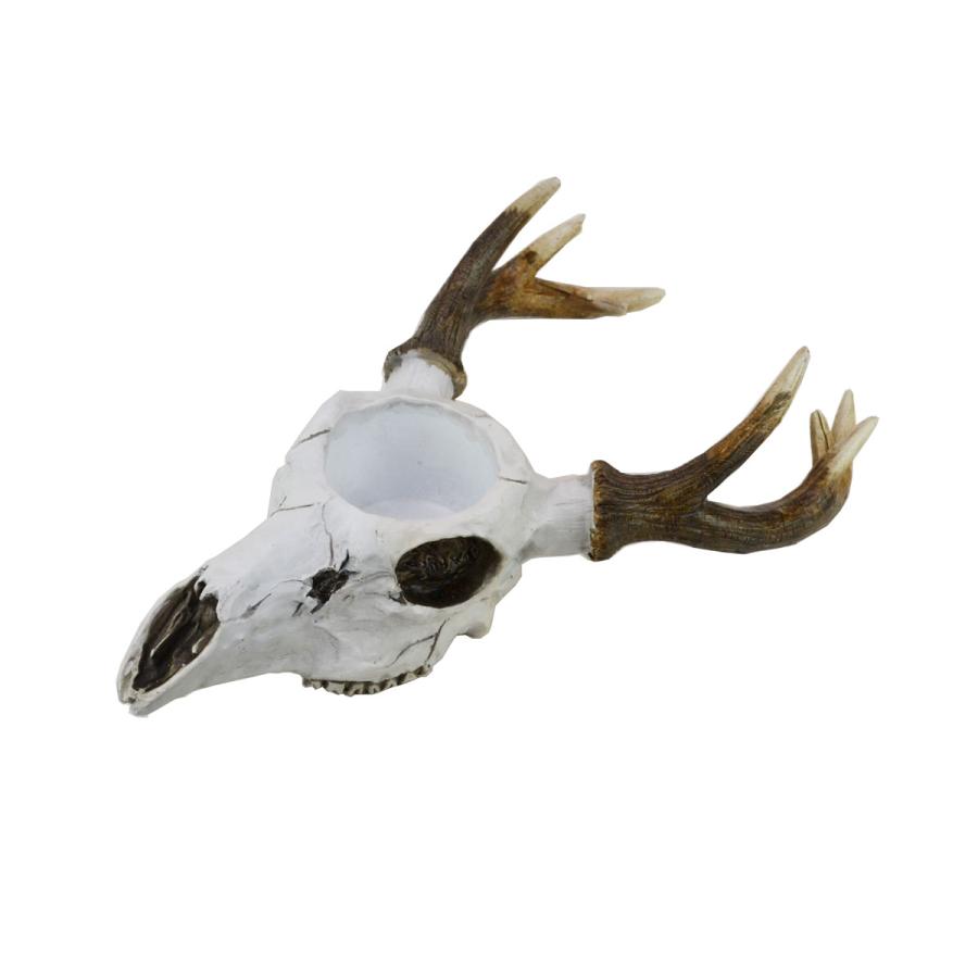 ディアースカルプランター 鹿の角 骸骨 レプリカ 植物 鉢 : ラタン