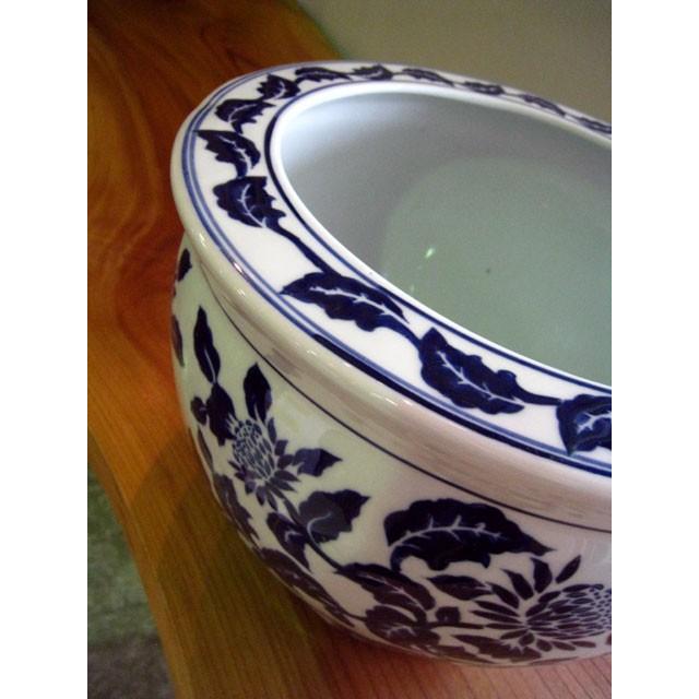 水鉢 睡蓮鉢 陶器 めだか鉢 ハス鉢 浮彫魚缶白 洋蓮 中 10号