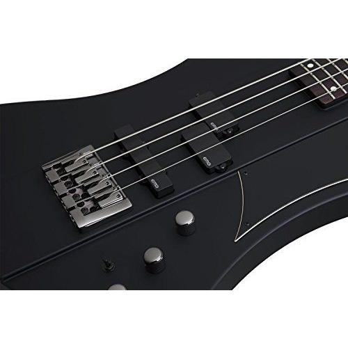Schecter シェクター ニッキー・シックス アーティストシリーズ Nikki