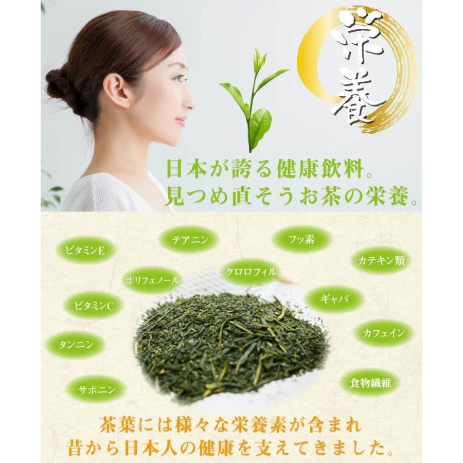 送料無料 川根茶 100g×1袋 お茶 緑茶 煎茶 茶 茶葉 お茶葉 静岡 川根