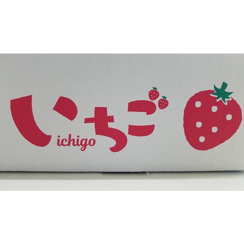 ヤマニ いちご用 サービス箱 L-2441 （イラストいちご4P セパレート