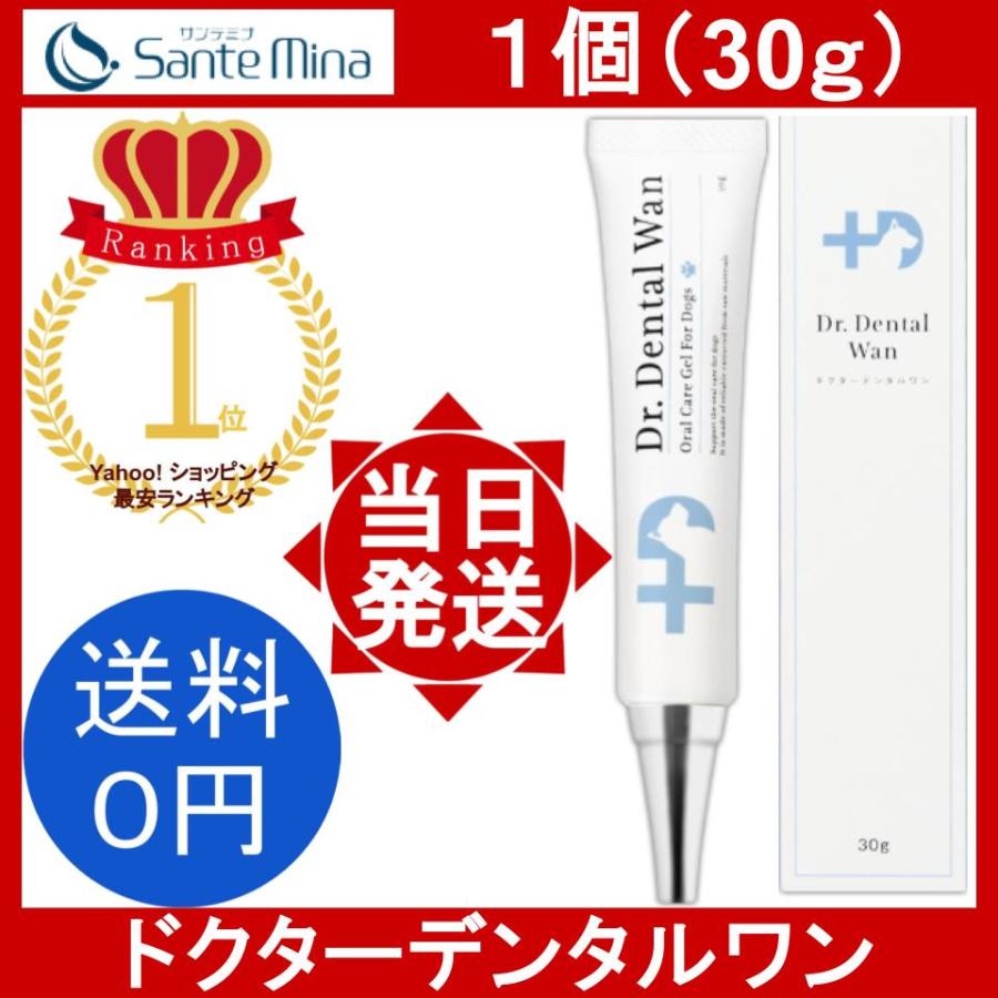 ドクターデンタルワン 1個 30g Dr. Dental Wan 犬 歯磨き 歯磨きジェル