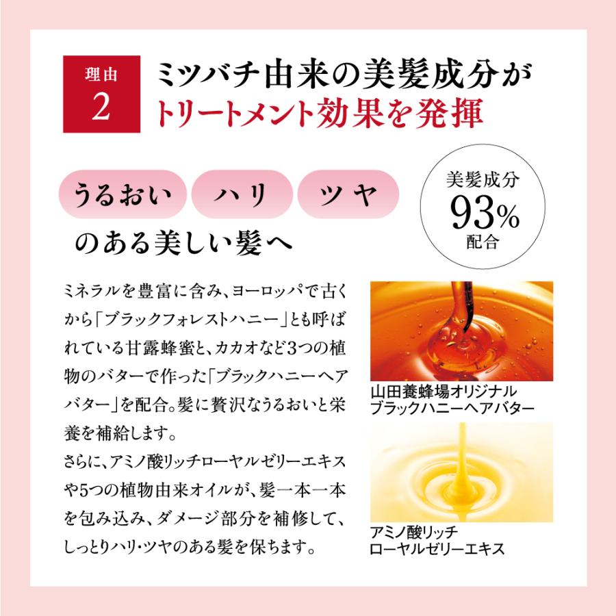 山田養蜂場 RJヘアカラートリートメント ナチュラルブラック210g