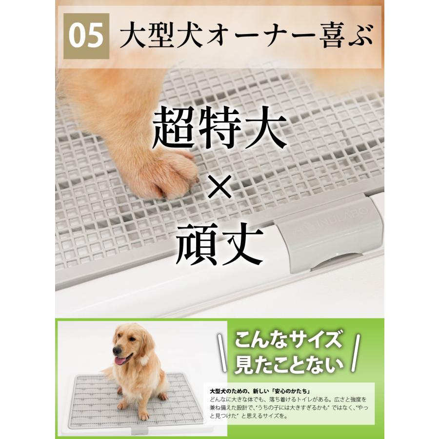 犬 用 トイレ トイレトレー 大判 しつけ用 多頭買い 大型犬 に最適