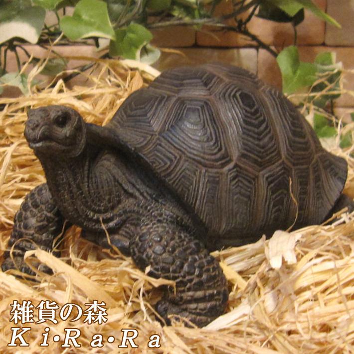 リアルな亀の置物 約60cm リアルな亀の置物 約60cm 亀の置物