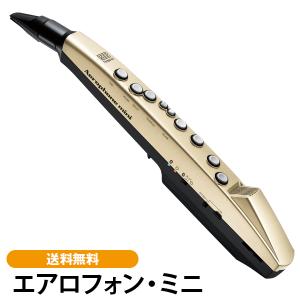 ローランド（Roland） Roland / Aerophone mini AE-01 エアロフォン