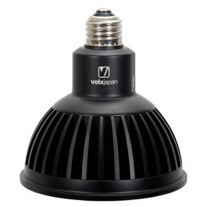 volxjapan（ボルクスジャパン） Grassy LeDio RX122s