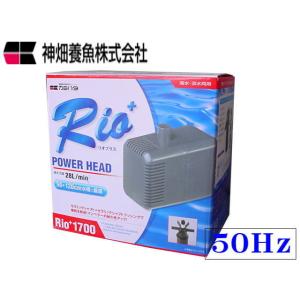 カミハタ Rio+3100 60Hz リオプラス 水中ポンプ 送料無料 管理60
